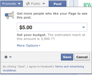 facebook promoted posts budget